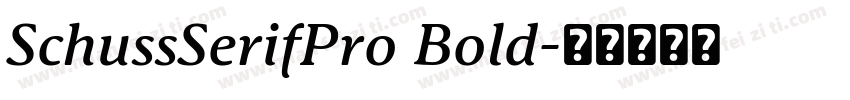 SchussSerifPro Bold字体转换